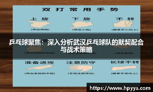 乒乓球聚焦：深入分析武汉乒乓球队的默契配合与战术策略